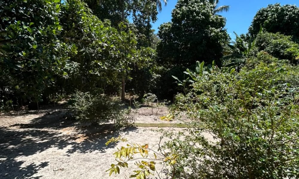 Casa com 3 quartos para aluguel, 164m² (1.668m² total) - Camaçari (8)