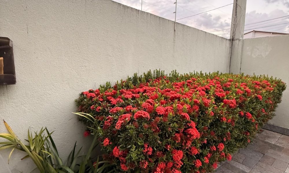 Mansão com 5 Suítes à venda, 600m² – Itaigara (25)