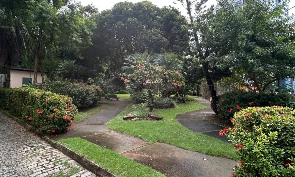 Apartamento com 3 quartos para alugar, 85m² - Pituba (1)