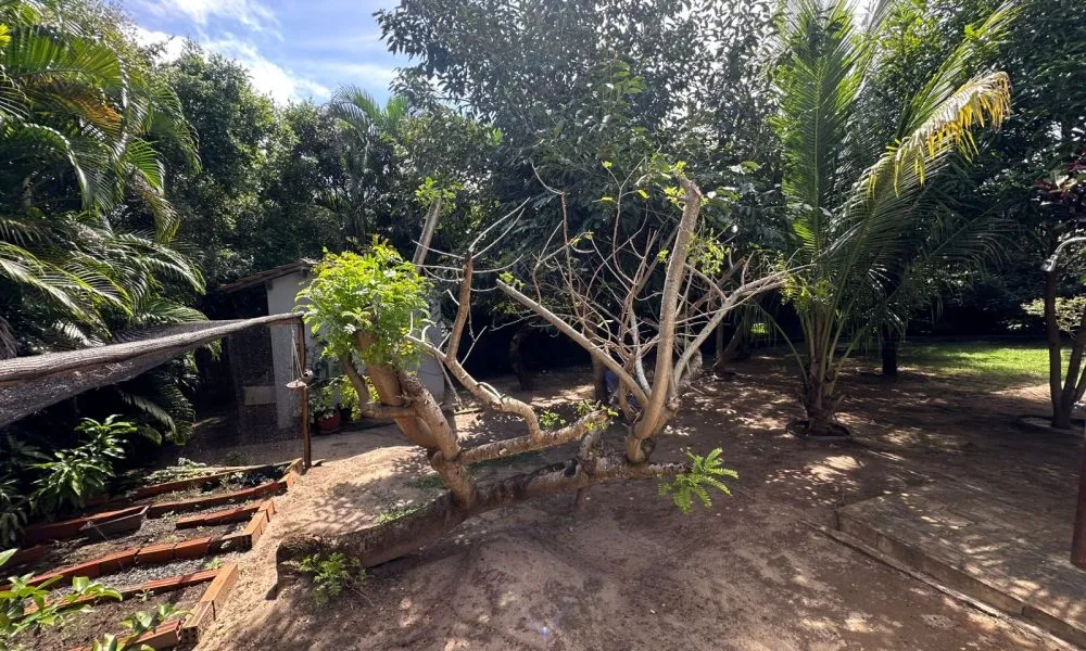 Casa com 4 Quartos à venda, 260m² – Busca Vida (20)