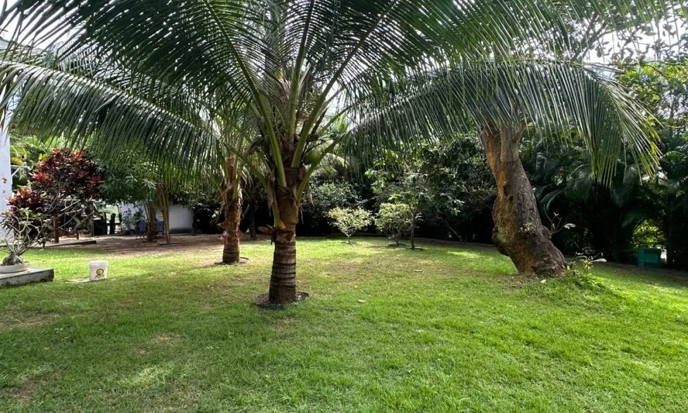 Casa com 4 Quartos à venda, 260m² – Busca Vida